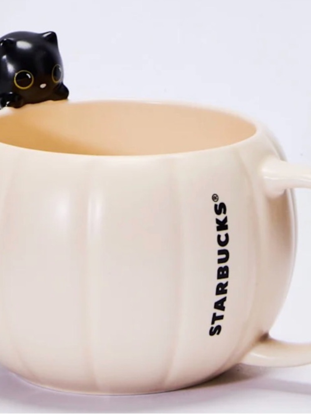Starbucks Cream Pumpkin Mug with Black Cat Accent